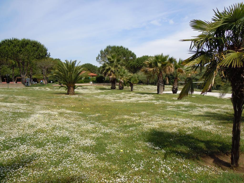 Casa Campanella Resort Capoliveri  Pokoj fotografie